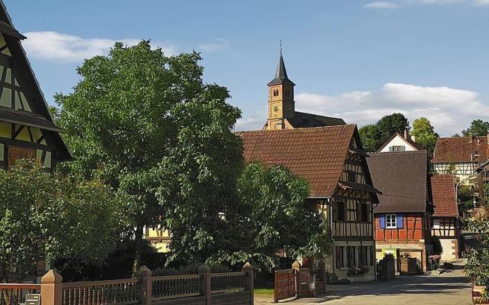 Gite A La Petite Fontaine-Plain Pied-Maison Alsacienne Renovee Avec Passion-4 Pers-4Nuitees Minimum Langensoultzbach Zewnętrze zdjęcie