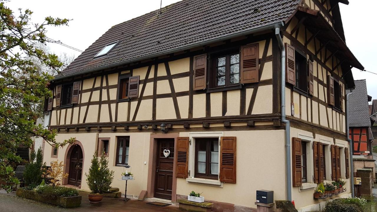 Gite A La Petite Fontaine-Plain Pied-Maison Alsacienne Renovee Avec Passion-4 Pers-4Nuitees Minimum Langensoultzbach Zewnętrze zdjęcie