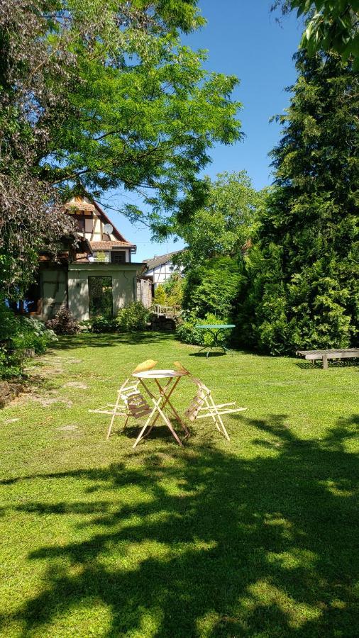 Gite A La Petite Fontaine-Plain Pied-Maison Alsacienne Renovee Avec Passion-4 Pers-4Nuitees Minimum Langensoultzbach Zewnętrze zdjęcie