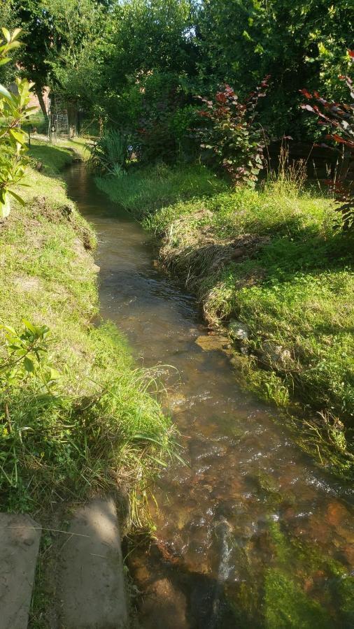Gite A La Petite Fontaine-Plain Pied-Maison Alsacienne Renovee Avec Passion-4 Pers-4Nuitees Minimum Langensoultzbach Zewnętrze zdjęcie