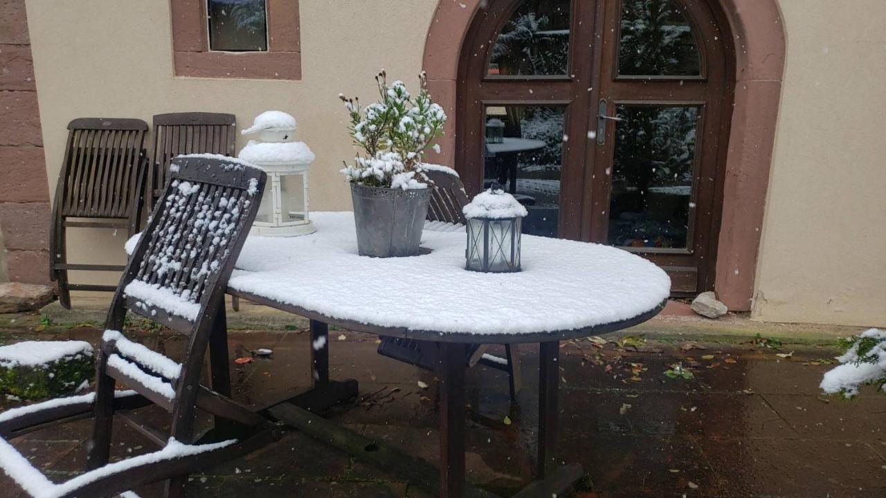 Gite A La Petite Fontaine-Plain Pied-Maison Alsacienne Renovee Avec Passion-4 Pers-4Nuitees Minimum Langensoultzbach Zewnętrze zdjęcie