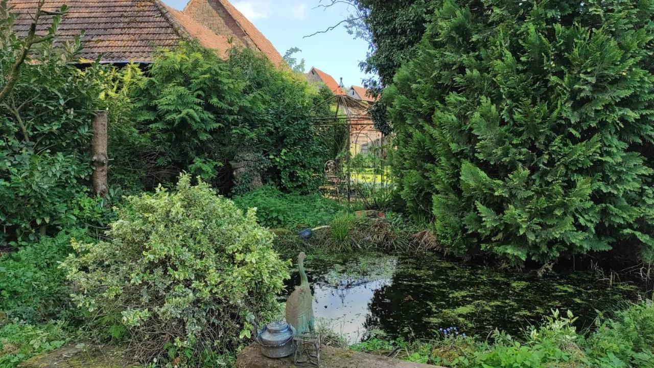 Gite A La Petite Fontaine-Plain Pied-Maison Alsacienne Renovee Avec Passion-4 Pers-4Nuitees Minimum Langensoultzbach Zewnętrze zdjęcie