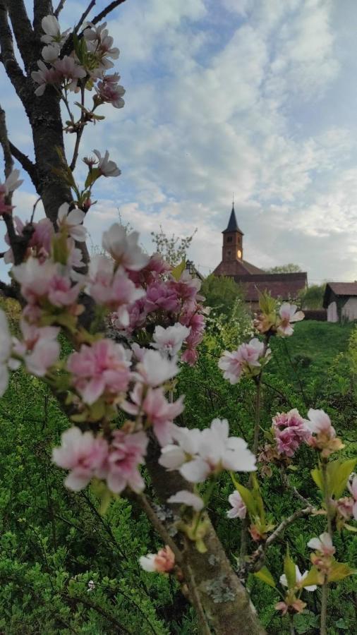 Gite A La Petite Fontaine-Plain Pied-Maison Alsacienne Renovee Avec Passion-4 Pers-4Nuitees Minimum Langensoultzbach Zewnętrze zdjęcie