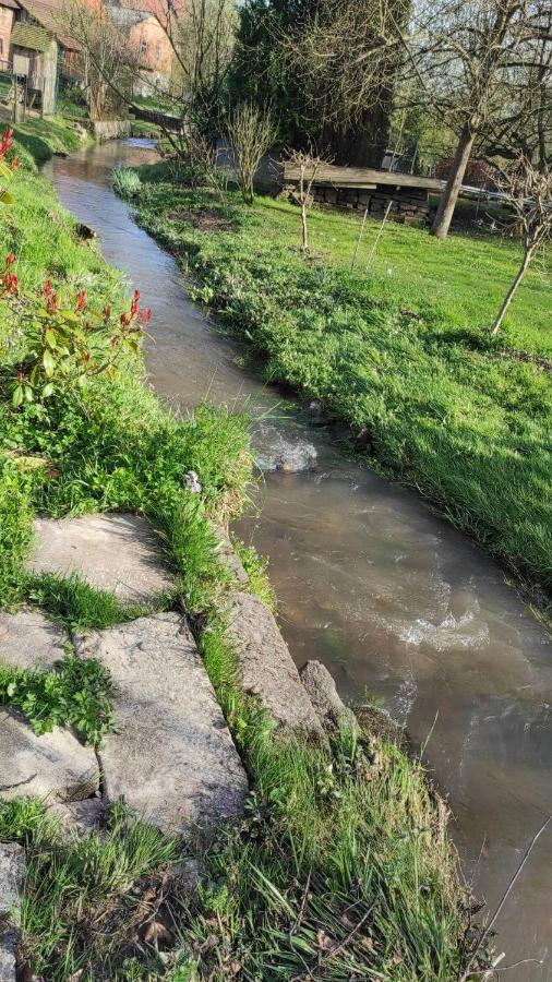 Gite A La Petite Fontaine-Plain Pied-Maison Alsacienne Renovee Avec Passion-4 Pers-4Nuitees Minimum Langensoultzbach Zewnętrze zdjęcie