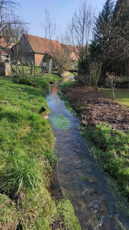 Gite A La Petite Fontaine-Plain Pied-Maison Alsacienne Renovee Avec Passion-4 Pers-4Nuitees Minimum Langensoultzbach Zewnętrze zdjęcie